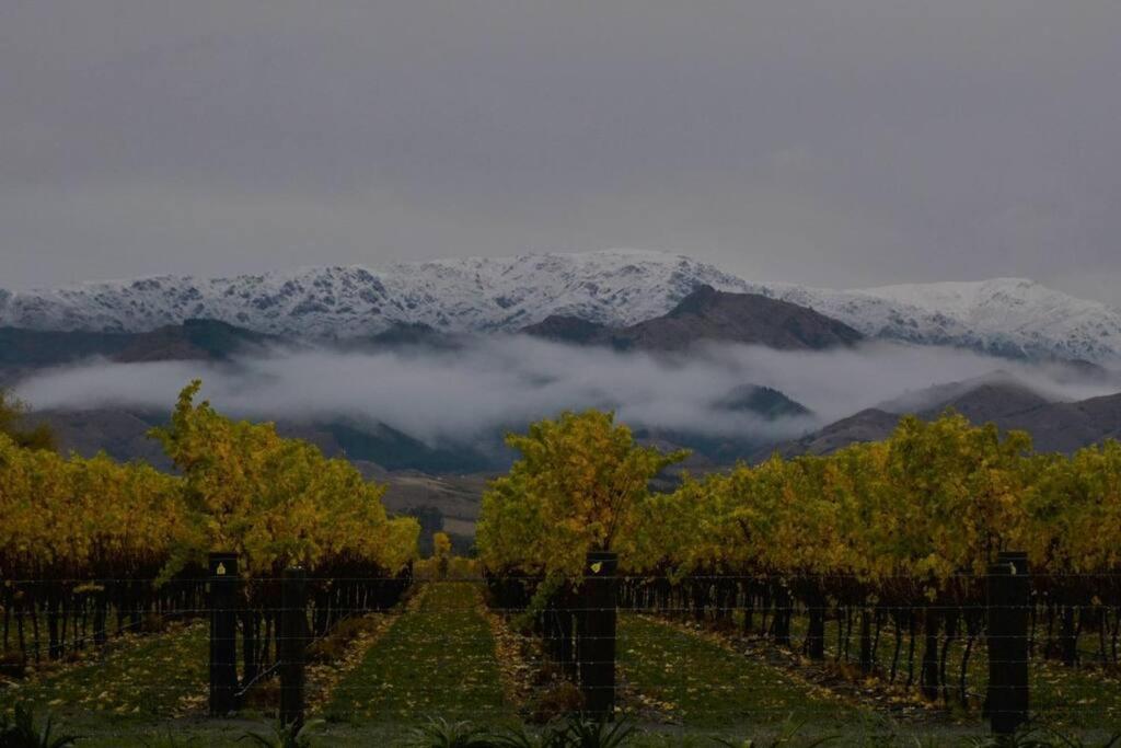 Ddog Vineyard & Bnb Renwick Exterior photo