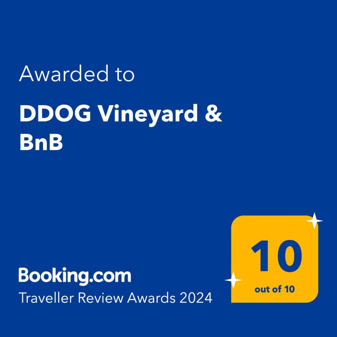 Ddog Vineyard & Bnb Renwick Exterior photo