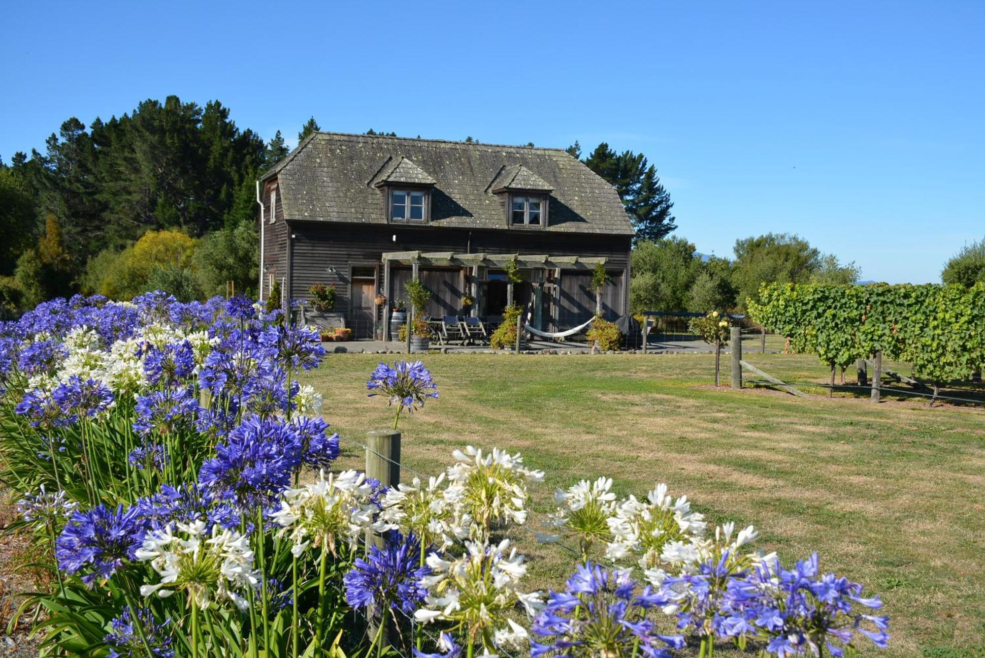 Ddog Vineyard & Bnb Renwick Exterior photo